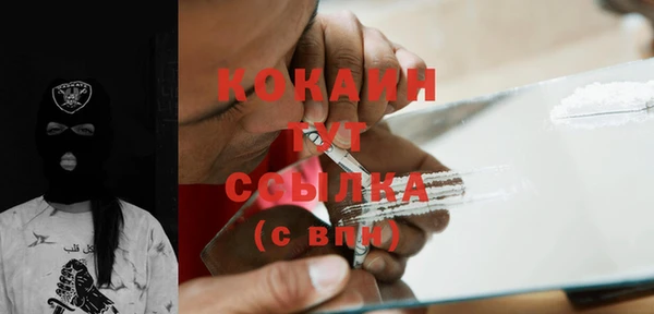 гашик Кинешма