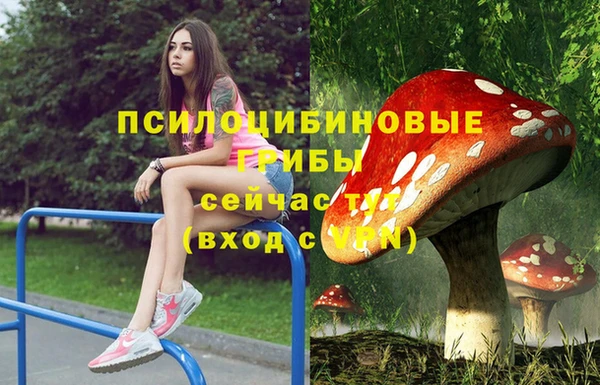 гашик Кинешма