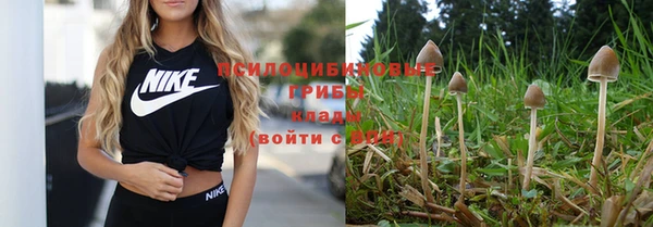 гидропоника Киренск