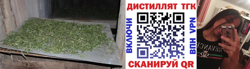 Купить закладки  Гуково  Дистиллят ТГК Wax 