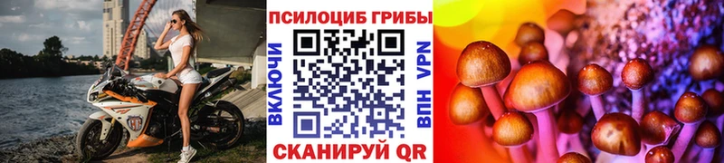 Псилоцибиновые грибы мухоморы  Купить закладки  Гуково 